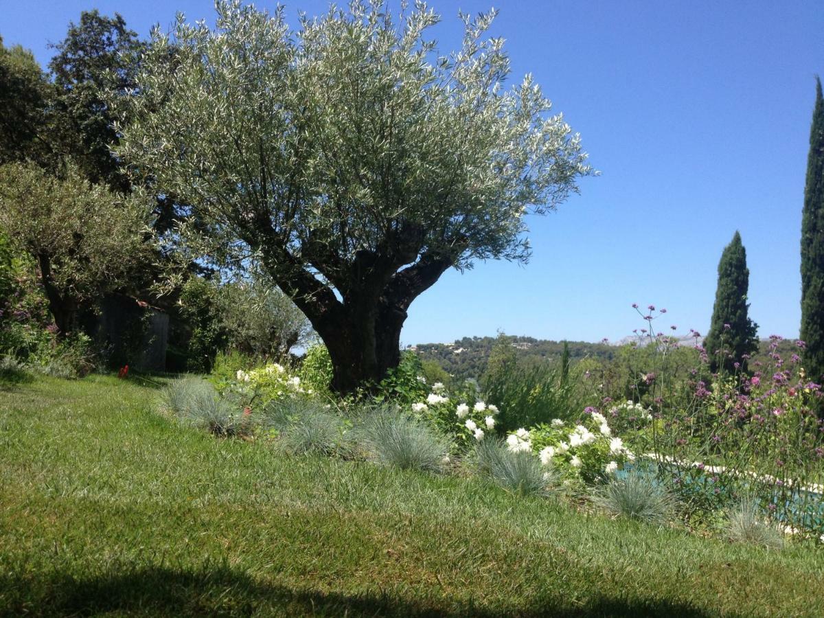 Mas Du Perthus Bed and Breakfast Cassis Exteriör bild